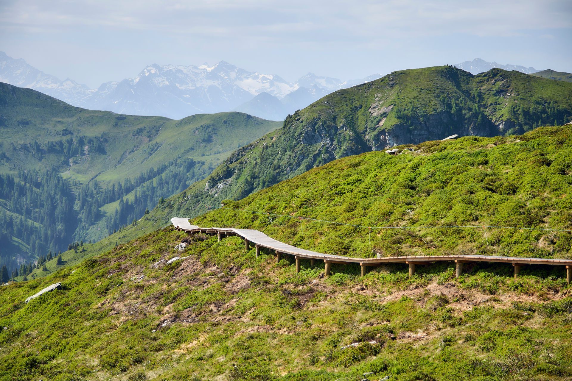 12er Sky Line - Bild 5