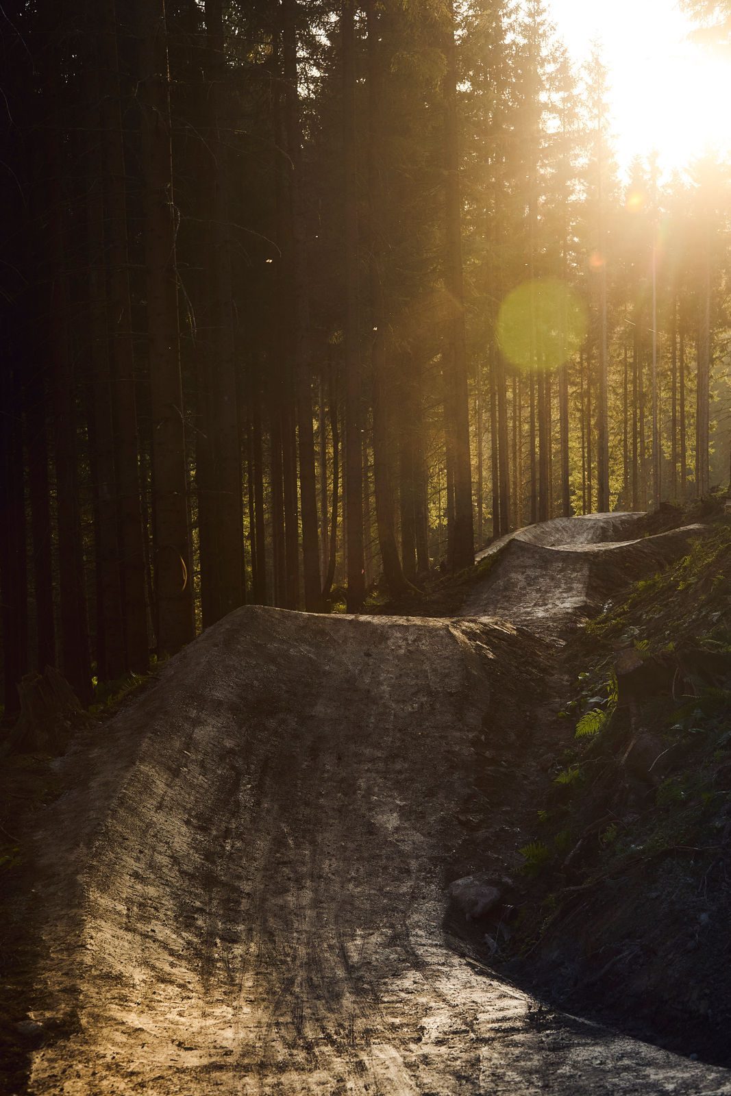Bearly Legal - Bild 14
