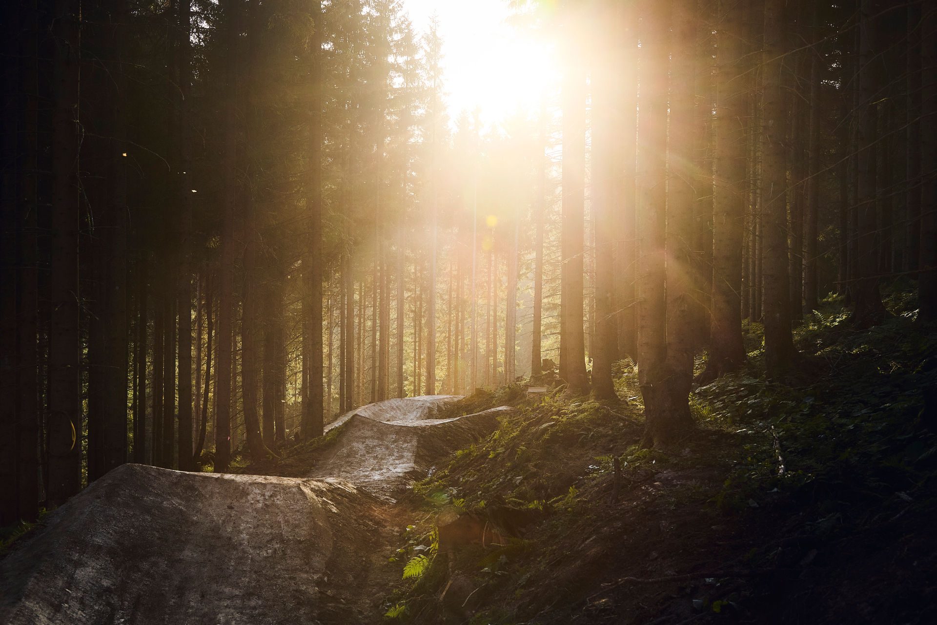 Bearly Legal - Bild 16