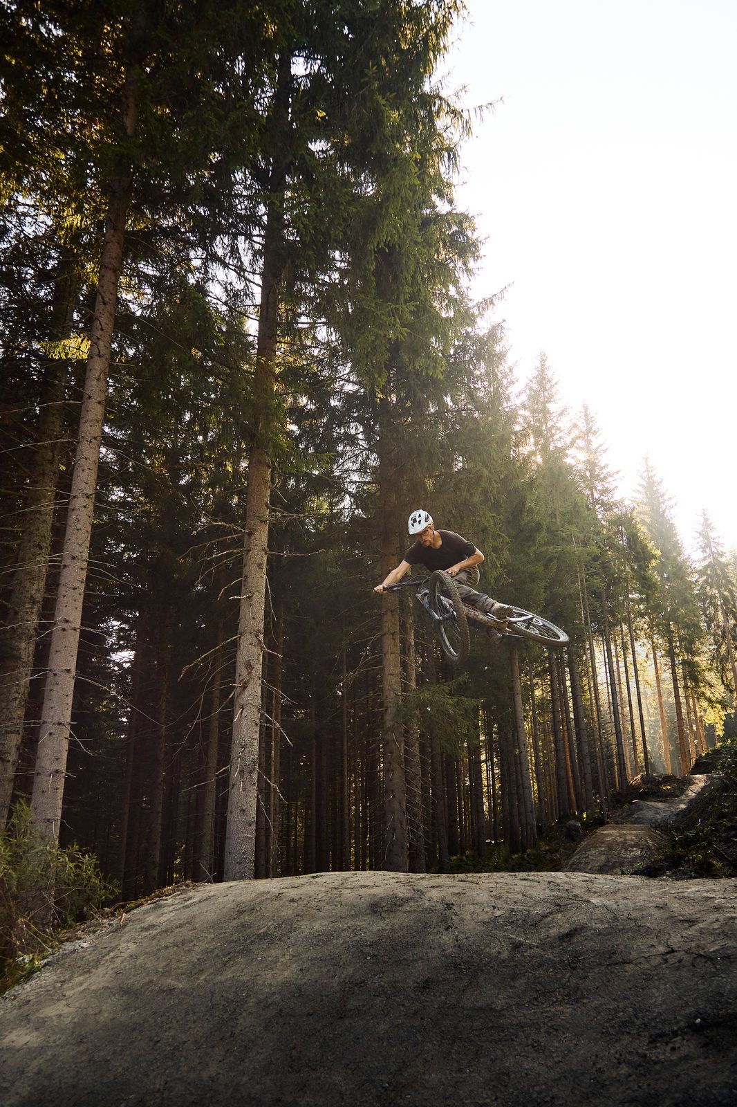 Bearly Legal - Bild 4