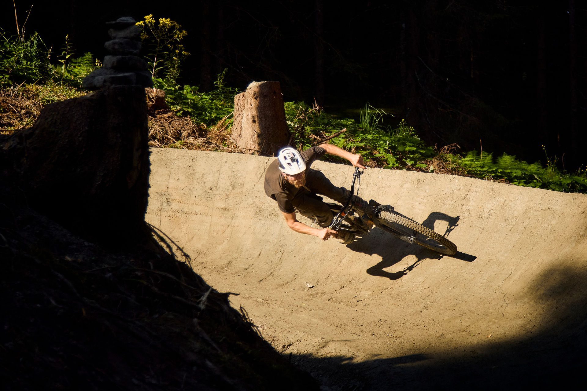 Bearly Legal - Bild 5