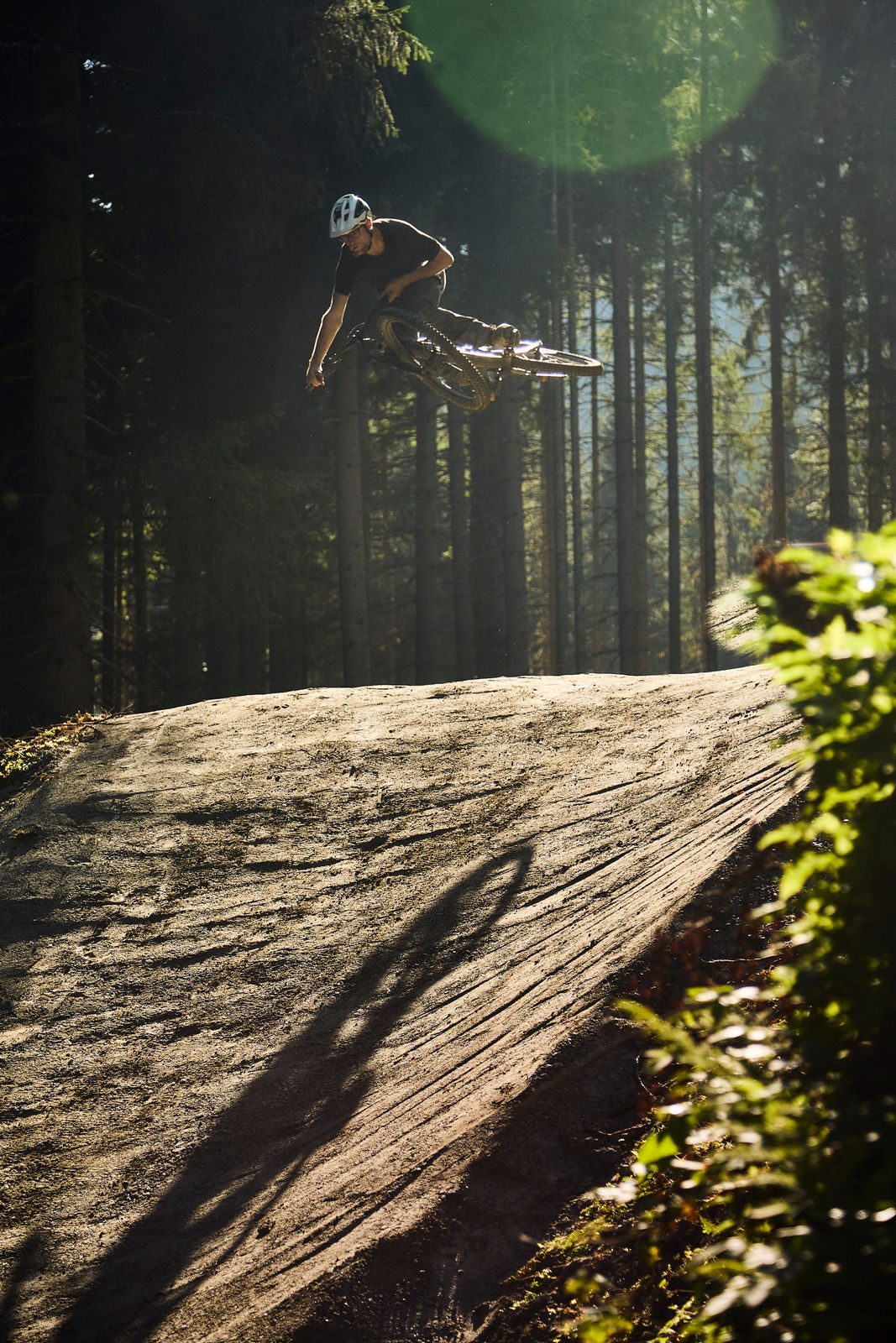 Bearly Legal - Bild 6