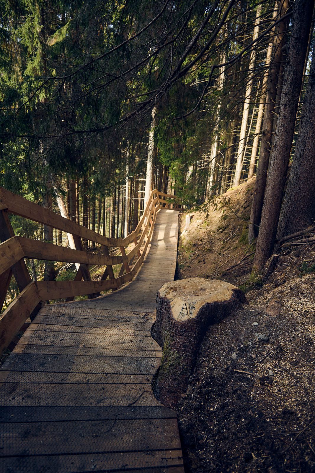 Bearly Legal - Bild 8