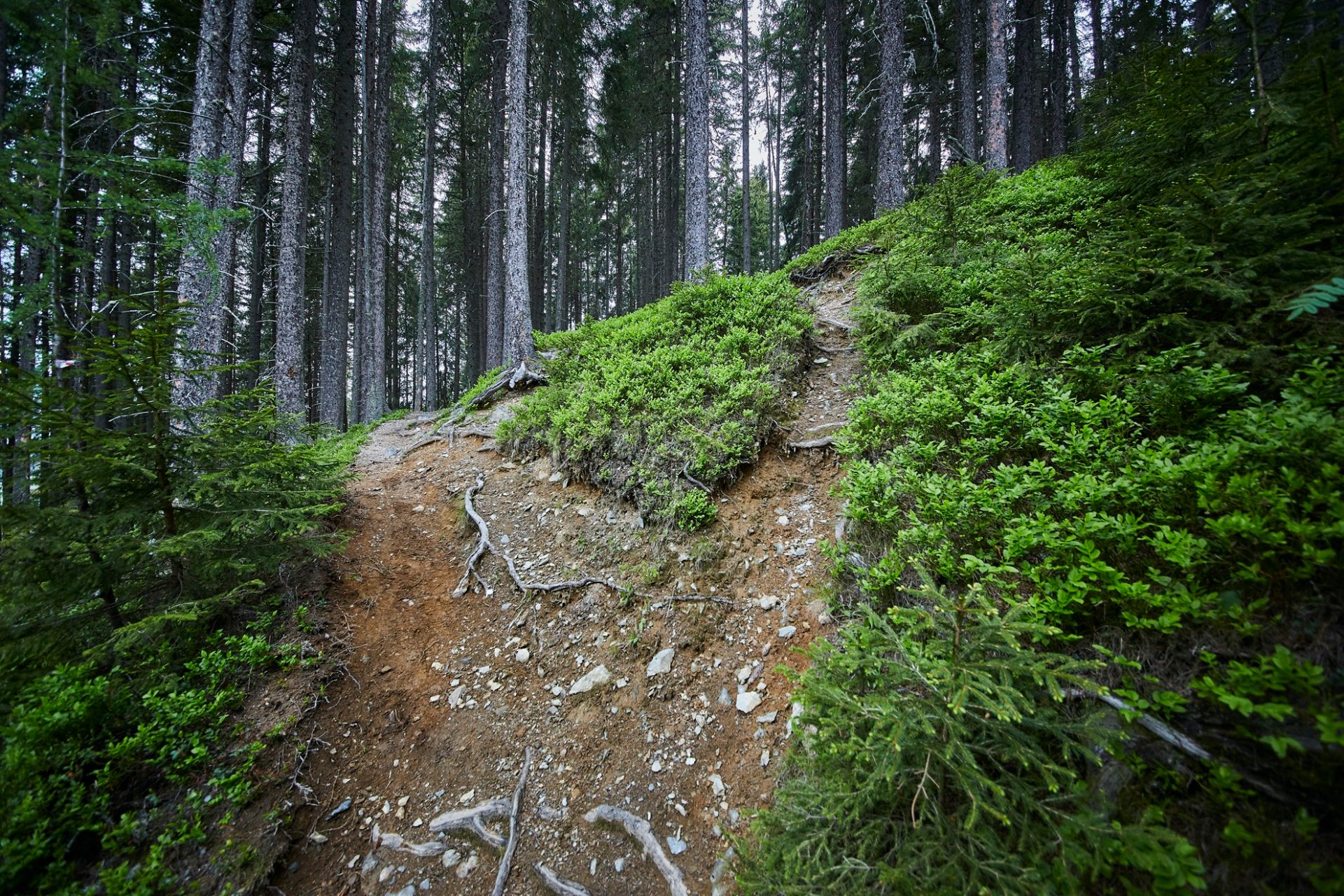 Bergstadl Trail - Bild 6