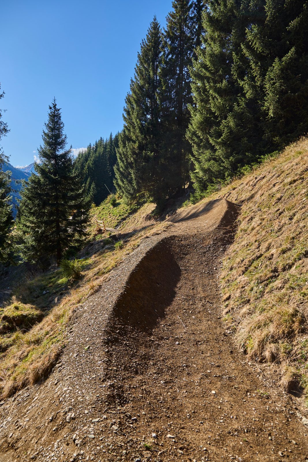 Blue Line - Bild 4