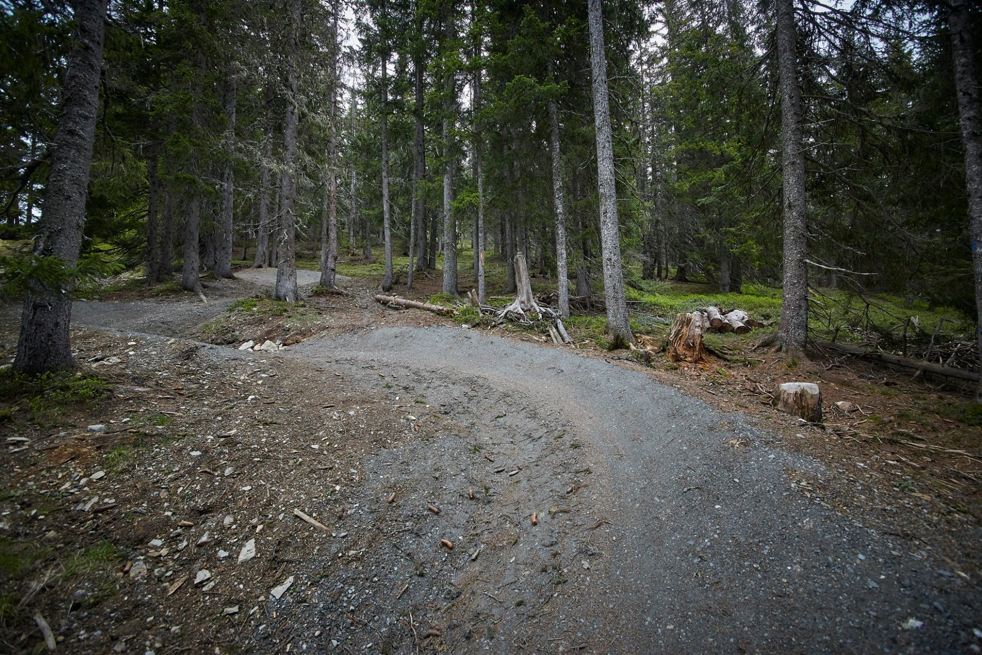 Panorama Line - Detail 1