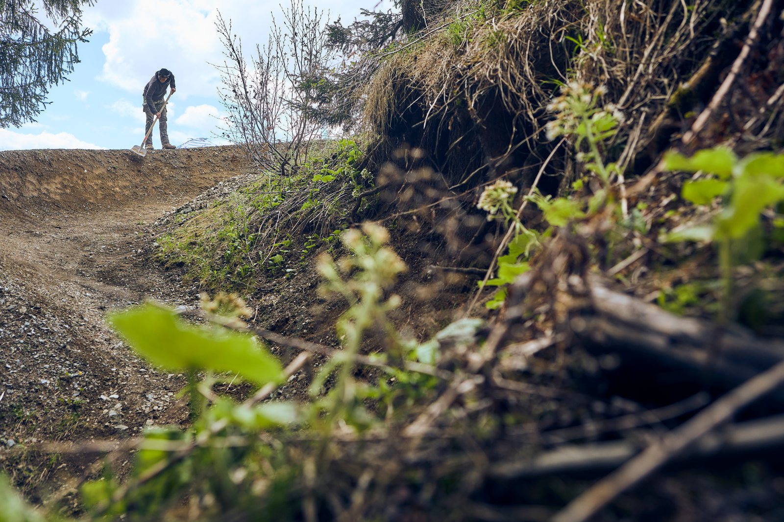 Technische Trail-Passage im Wald mit Wurzeln, Steinen und Northshore-Elementen.